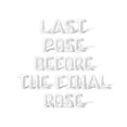thumbnail image 1 of Letter Balloons - LAST POSE BEFORE THE FINAL ROSE 16" Inch Alphabet Letters Foil Mylar Balloon Bachelorette or Bridal Shower Party Banner (White), 1 of 5