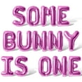thumbnail image 1 of Letter Balloons - SOME BUNNY IS ONE 16" Inch Alphabet Letters Foil Mylar Balloon 1st Birthday Party Banner (Pink), 1 of 5