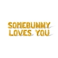 thumbnail image 1 of Letter Balloons - SOMEBUNNY LOVES YOU 16" Inch Alphabet Letters Foil Mylar Balloon Easter Party Banner (Gold), 1 of 5