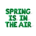 thumbnail image 1 of Letter Balloons - SPRING IS IN THE AIR 16" Inch Alphabet Letters Foil Mylar Balloon Easter Party Banner (Green), 1 of 5