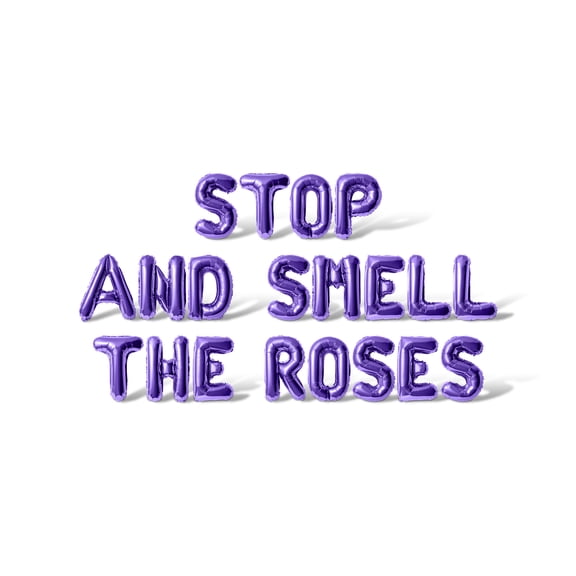 Letter Balloons - STOP AND SMELL THE ROSES 16" Inch Alphabet Letters Foil Mylar Balloon Kentucky Derby Day Party Banner (Purple)