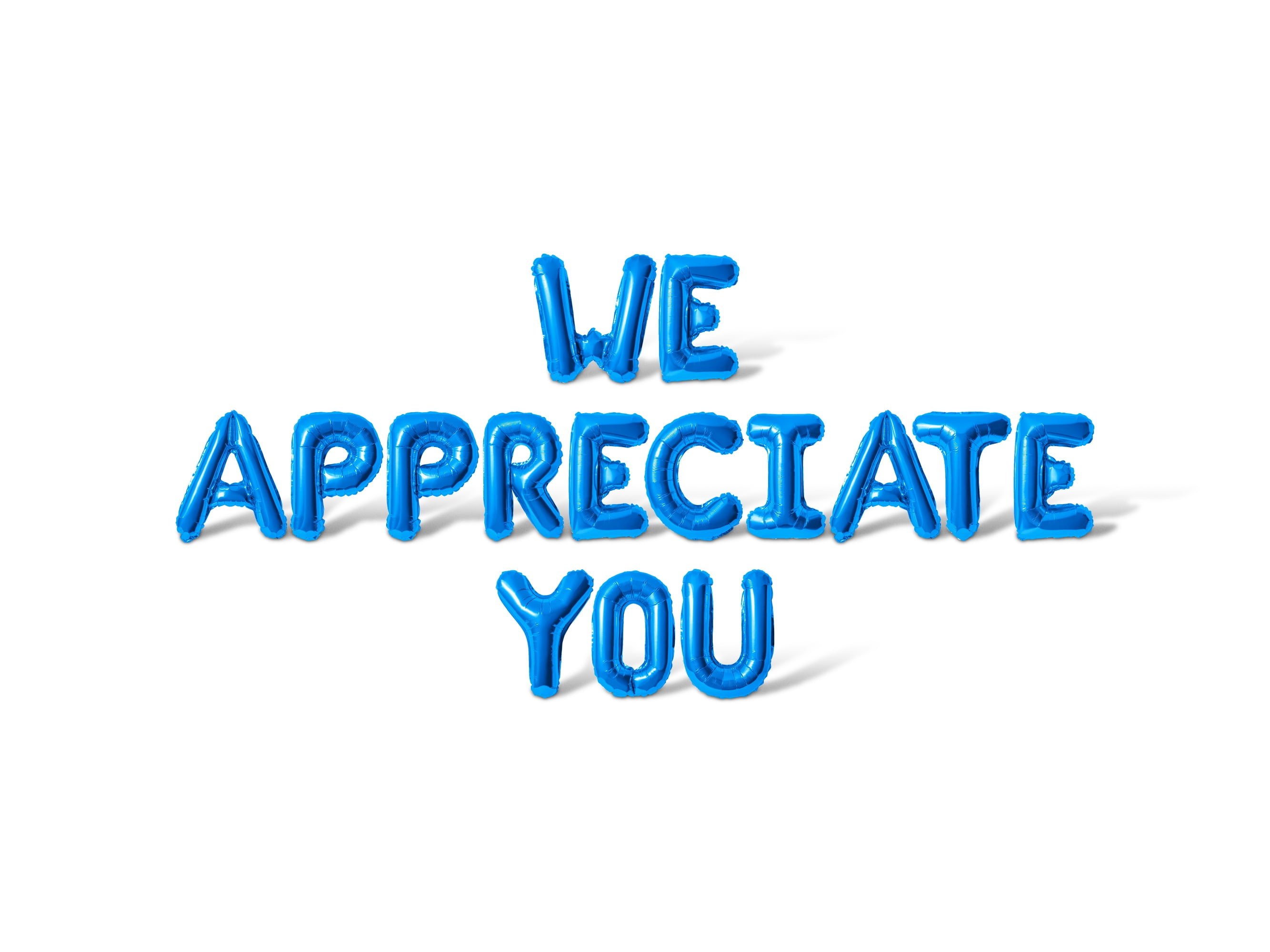 Letter Balloons - WE APPRECIATE YOU 16" Inch Alphabet Letters Foil Mylar Balloon Teacher Appreciation Party Banner (Blue)