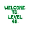 thumbnail image 1 of Letter Balloons - WELCOME TO LEVEL 40 16" Inch Alphabet Letters Foil Mylar Balloon Birthday Party Banner (Green), 1 of 5