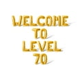 thumbnail image 1 of Letter Balloons - WELCOME TO LEVEL 70 16" Inch Alphabet Letters Foil Mylar Balloon Birthday Party Banner (Gold), 1 of 5