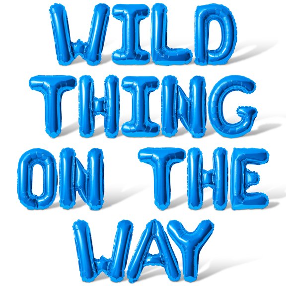 Letter Balloons - WILD THING ON THE WAY 16" Inch Alphabet Letters Foil Mylar Balloon Baby Shower Party Banner (Blue)