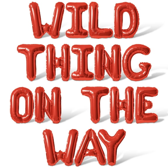 Letter Balloons - WILD THING ON THE WAY 16" Inch Alphabet Letters Foil Mylar Balloon Baby Shower Party Banner (Red)