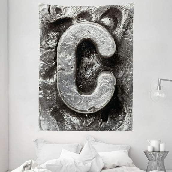 Letter C Tapestry, Fused Elements Aluminum Style Minuscule C Words First Name Theme Background Artwork, Wall Hanging for Bedroom Living Room Dorm Decor, 60W X 80L Inches, Silver, by Ambesonne
