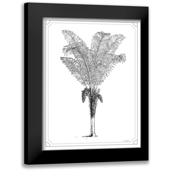 Lettered And Lined 19x24 Black Modern Framed Museum Art Print Titled - Timeless Palm