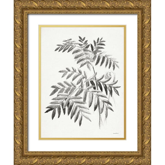 Lettered And Lined 19x24 Gold Ornate Wood Framed with Double Matting Museum Art Print Titled - Leaf Illustration I