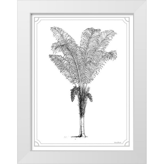 Lettered And Lined 19x24 White Modern Wood Framed Museum Art Print Titled - Timeless Palm