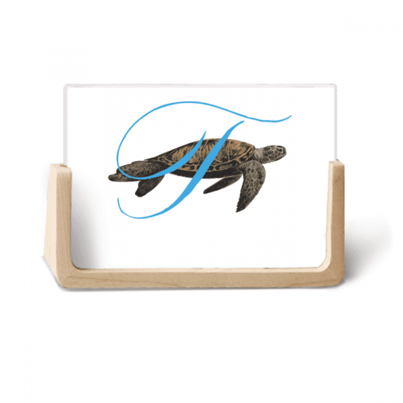 Letters Turtles Roam Ocean Photo Wooden Photo Frame Tabletop Display