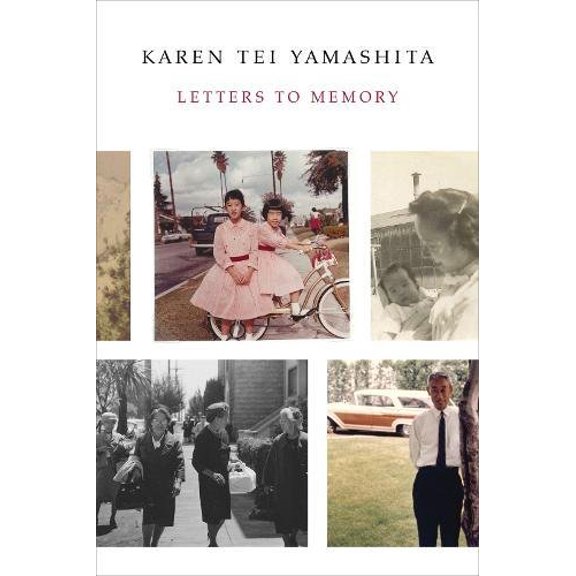 Pre-Owned Letters to Memory (Paperback) 1566894875 9781566894876