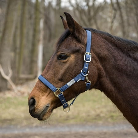 Lettia EquiFine Halter- Slate- Cob