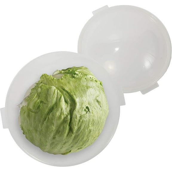 Lettuce And Vegatable Storage Keeper | 7" X 8"