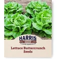 thumbnail image 1 of Harris Seeds - Lettuce Seeds Buttercrunch Variety Tender Leaves - 1 Lb., 1 of 7