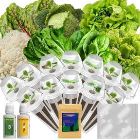 Lettuce Grow Pod Kit 12 Pods with American Fast, Paris Island & Buttercrunch Varieties, Compatible with AeroGarden, iDOO & Ahopegarden Systems