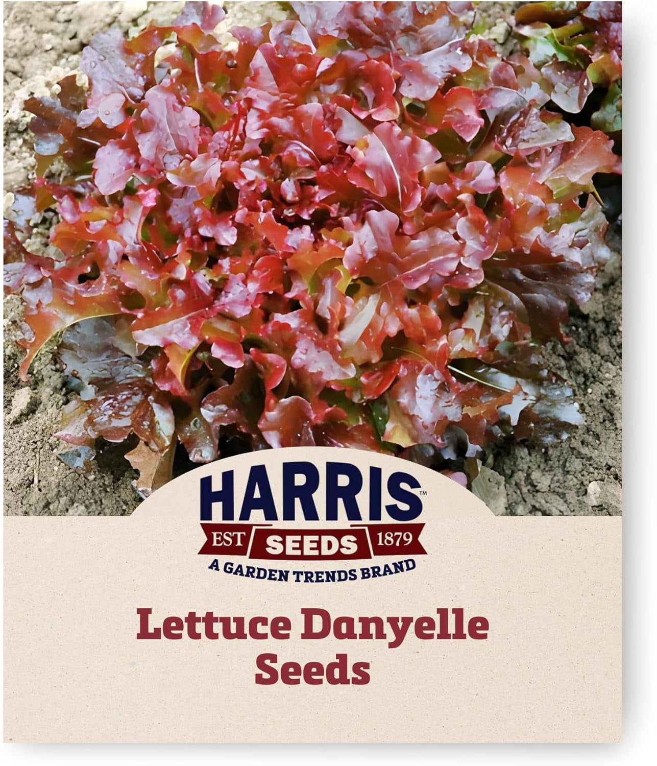 Harris Seeds Danyelle Lettuce Seeds