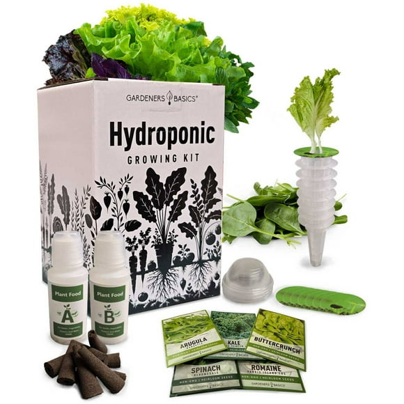 Lettuce Hydroponic Growing Kit