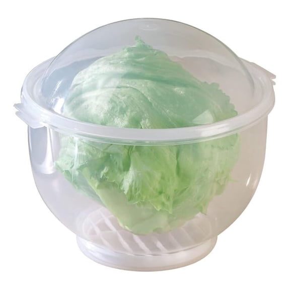 Lettuce KeeperTM - Lettuce Crisper Salad Keeper Container Keeps your Salads and Vegetables Crisp and - 7" X 8"