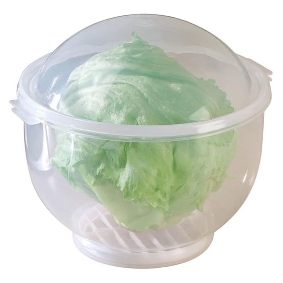 Lettuce KeeperTM - Lettuce Crisper Salad Keeper Container Keeps your Salads and Vegetables Crisp and - 7" X 8"