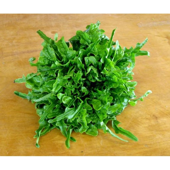 Lettuce Oakleaf Royal Great Heirloom Vegetable by Seed Kingdom 1/4 Lb Seeds
