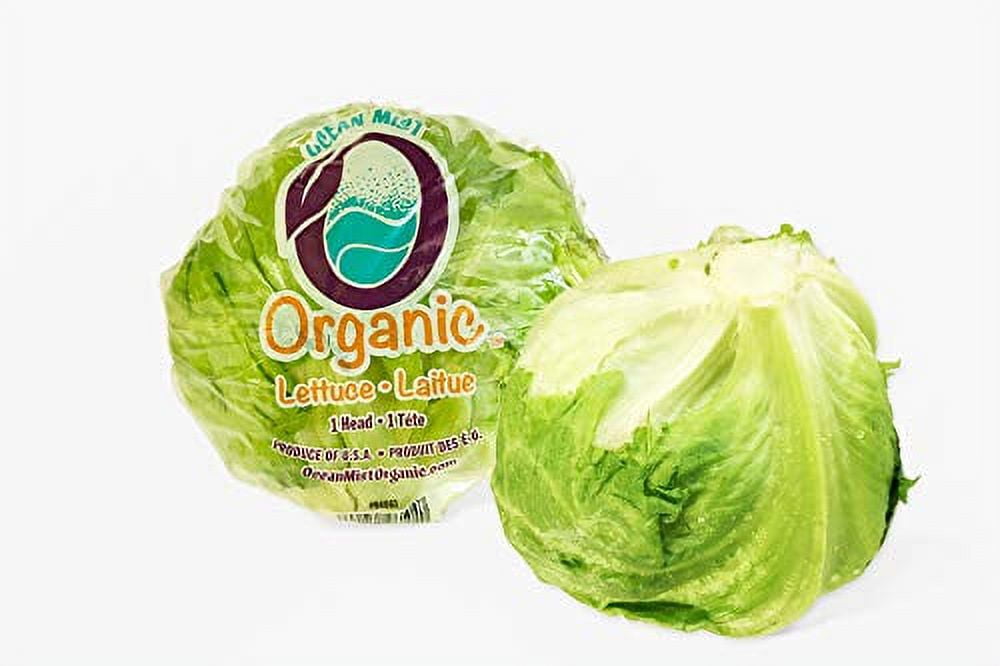 Lettuce Organic 2 count