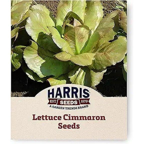 Harris Seeds - Lettuce Seeds Cimmaron Variety sweet Crisp Leaves - 1 Oz.