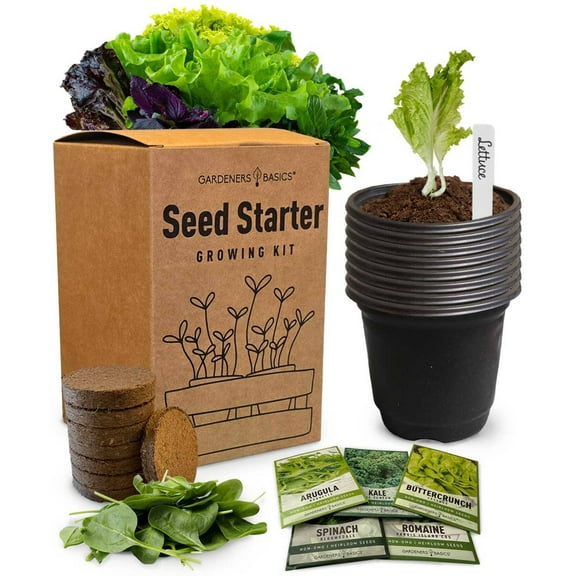 Lettuce Seed Starter Kit