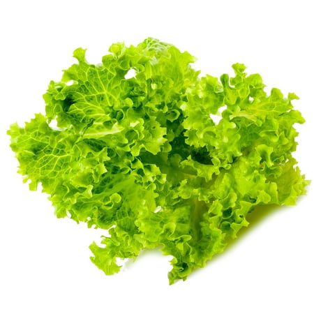 Lettuce Seeds - Leaf - Lollo Bionda - 1 g Packet ~900 Seeds - Lactuca sativa - Farm & Garden Vegetable Seeds - Non-GMO, Heirloom, Open Pollinated, Annual