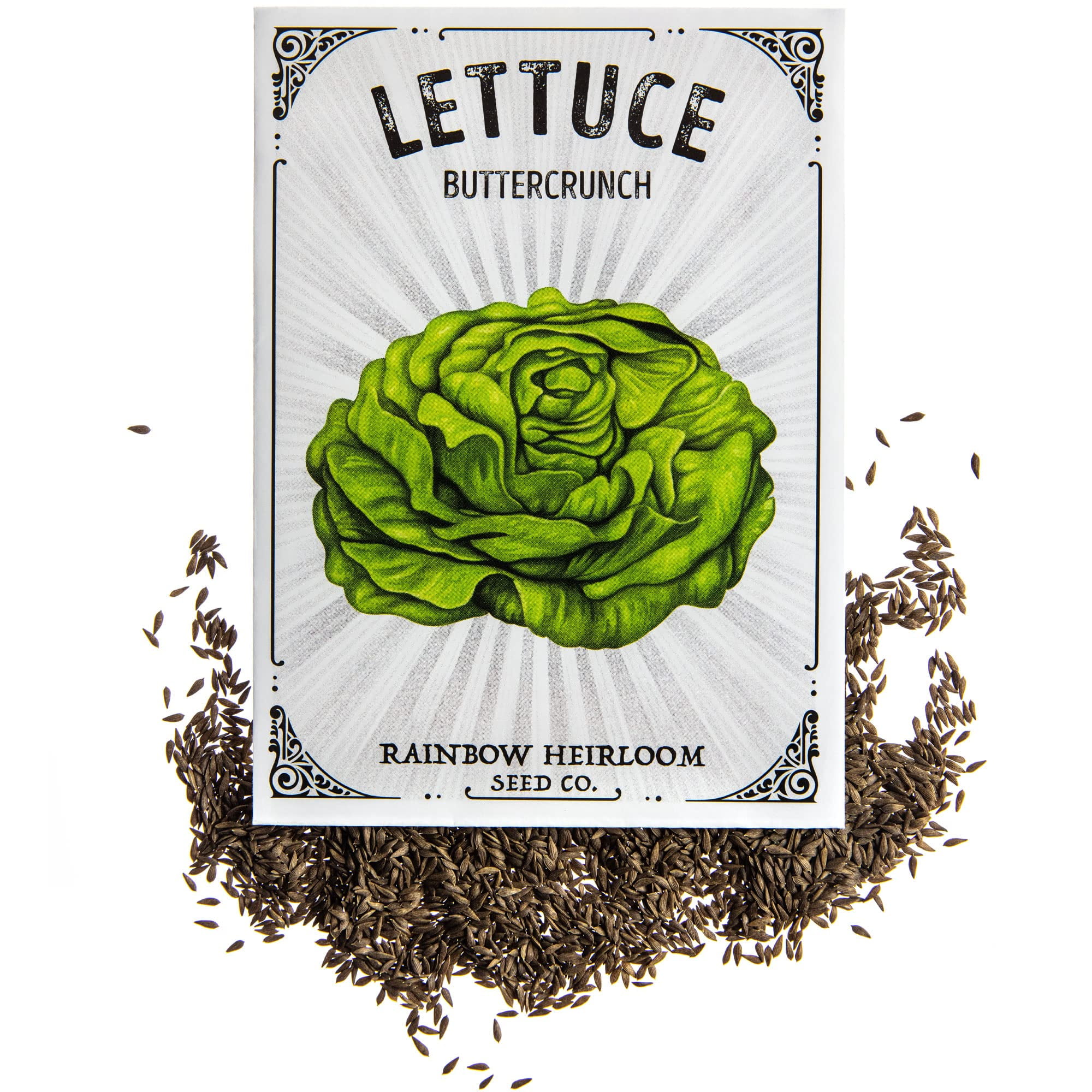 Lettuce Seeds for Planting Buttercrunch Variety (2.5g Packet Approx 2,200 Seeds) NonGMO