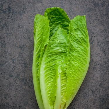 Lettuce Seeds - Romaine / COS - Dark Green Cos - 1 g Packet ~900 Seeds - Lactuca sativa - Farm & Garden Vegetable Seeds - Non-GMO, Heirloom, Open Pollinated, Annual