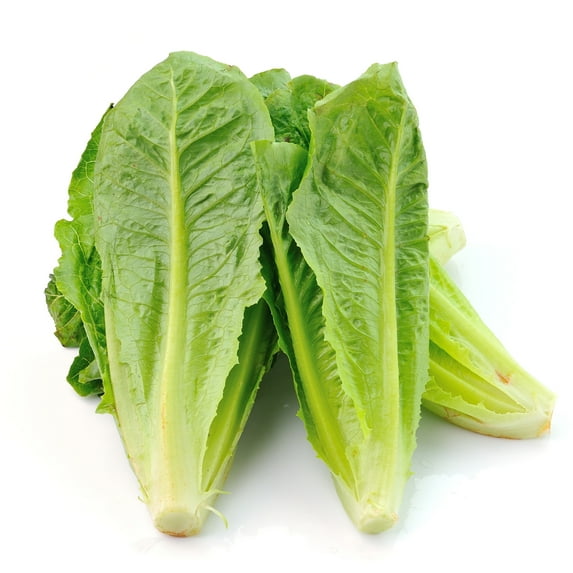 Mountain Valley Seed Company 6250 Romaine Lettuce Plant Seeds, Non-GMO