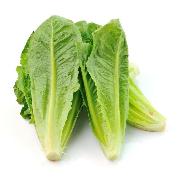 Mountain Valley Seed Company 6250 Romaine Lettuce Plant Seeds, Non-GMO