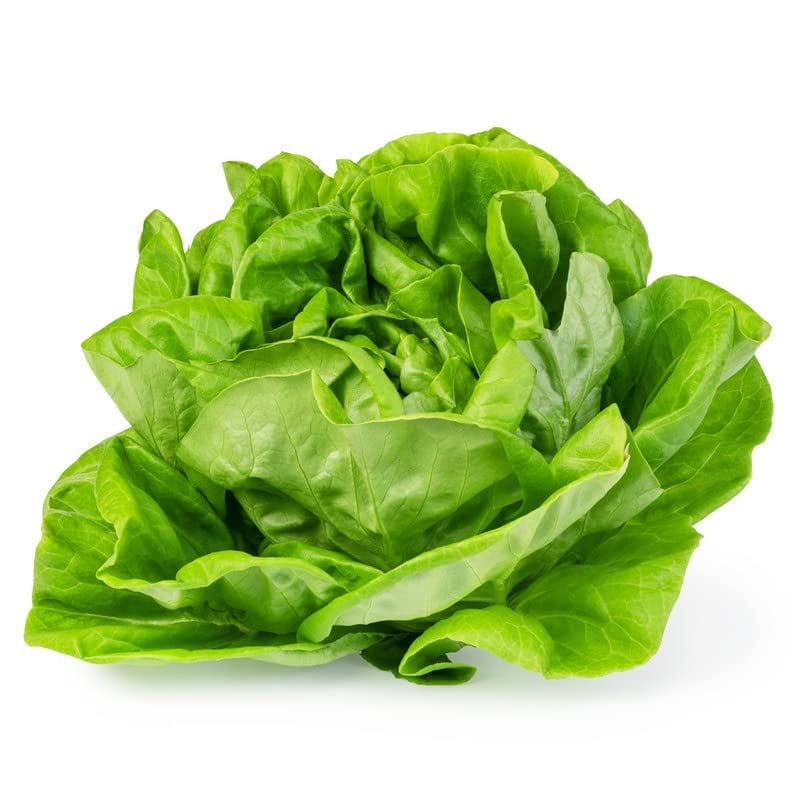Lettuce-White Boston (2300EGSCSeeds)