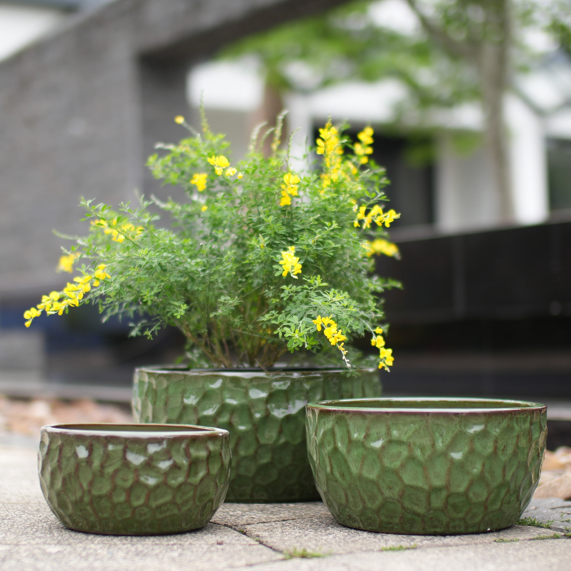 Leumius Set of 3 Handmade Ceramic Planter, 15"/12"/10" Diameter, Green Hammered Texture, for Succulents & Violets, Indoor/Outdoor Use on Windowsill & Bookshelf Green