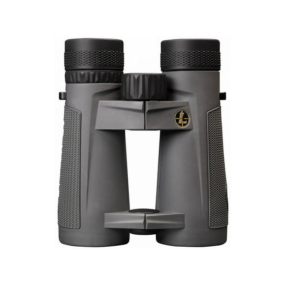 Leupold BX-5 Santiam HD Binocular 10x42mm, Shadow Gray