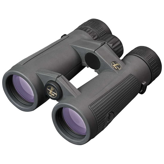 Leupold BX-5 Santiam HD Binoculars 8x 42mm Shadow Gray