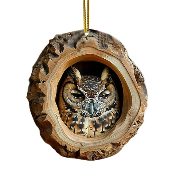 Leutsin Funny Owl Christmas Ornament - 3 Inch Animal Christmas Hanging Decorations for Festival Tree Acrylic 2 Side Printed Decor for Indoor Outdoor Wall Window Holiday Home Party