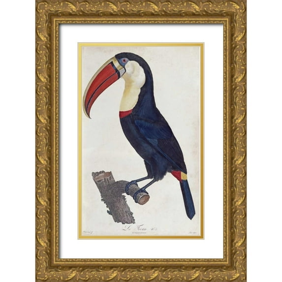 Levaillant, Francois 10x14 Gold Ornate Wood Framed with Double Matting Museum Art Print Titled - Toucan