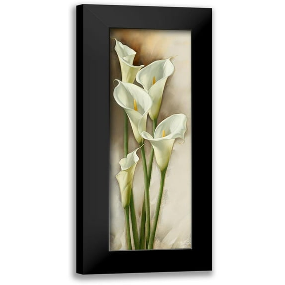Levashov, Igor 11x24 Black Modern Framed Museum Art Print Titled - Callas Gracieux I