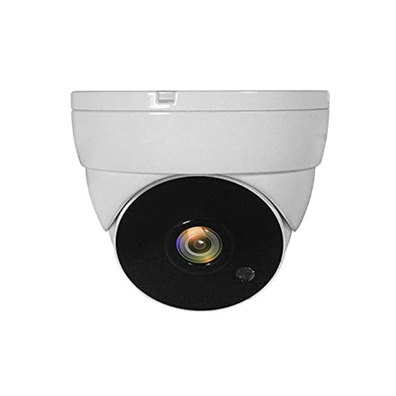 LevelOne Outdoor Dome Camera, Multi-Colour, One Size