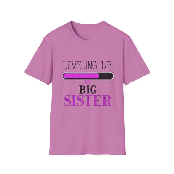 Leveling Up To Big Sister Unisex Softstyle T-Shirt