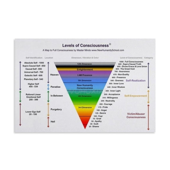 Levels of Consciousness Chart Information Sheet Poster Canvas Print Aesthetic Decor Bedroom Bathroom Preppy Dorm Home Posters Garage Decor