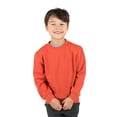 thumbnail image 1 of Leveret Kids Toddler Boys Girls Long Sleeve Sweatshirt Orange Size 8 Years, 1 of 4