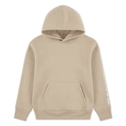 Levi's Boys Sleeve Hit Hoodie, Size 8-20