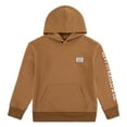 thumbnail image 1 of Levi's Boys Sleeve Hit Hoodie, Size 8-20, 1 of 4