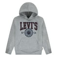 thumbnail image 1 of Levi's Boys Sporty Hoodie, Size 8-20, 1 of 4