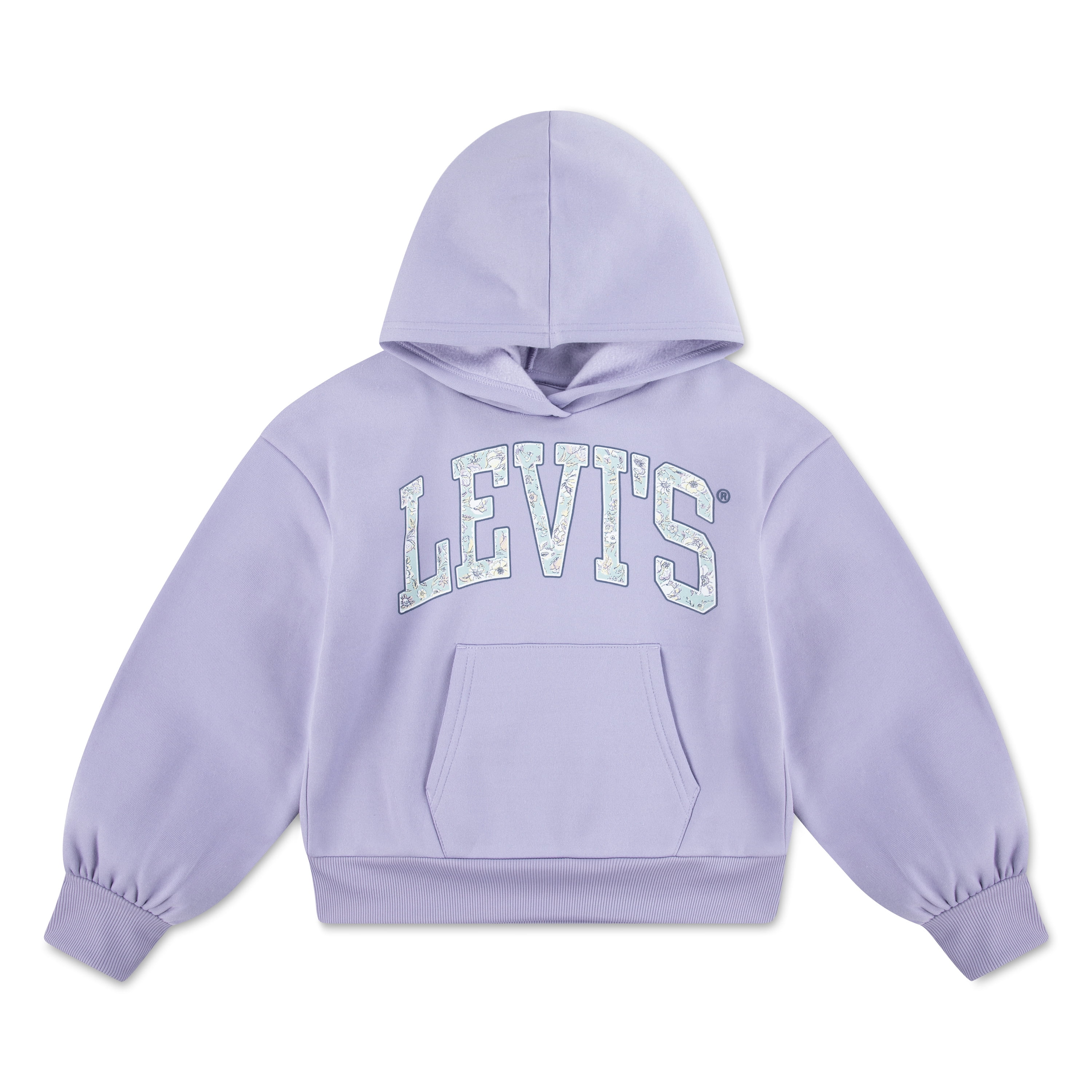 Levi's Girls Collegiate Pullover Hoodie, Sizes 7-16