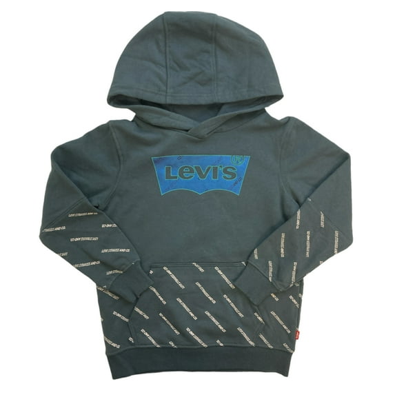 Levi's Boy's Relaxed Fit Metallic Graphic & Logo Print Fleece Hoodie (Slate Blue, 6 (M))