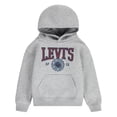 thumbnail image 1 of Levi's Boys Toddler Sporty Hoodie, Sizes 2T-4T, 1 of 4